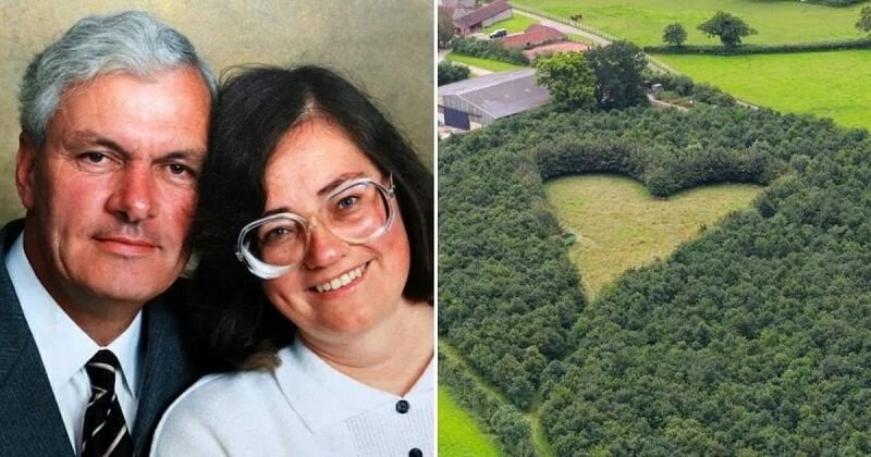 Több 1000 fát ültetett felesége emlékére - Szív alakú réttel tisztelgett szerelme előtt